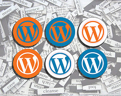 Top WordPress SEO Plugins