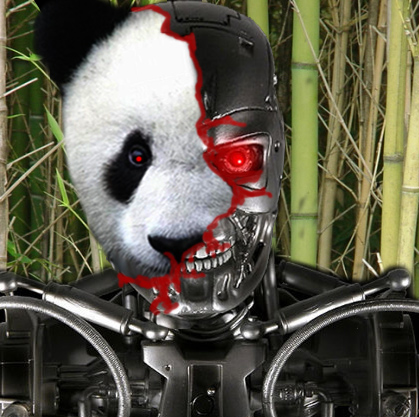 What is the Google Panda Update 3.3? (Infographic)
